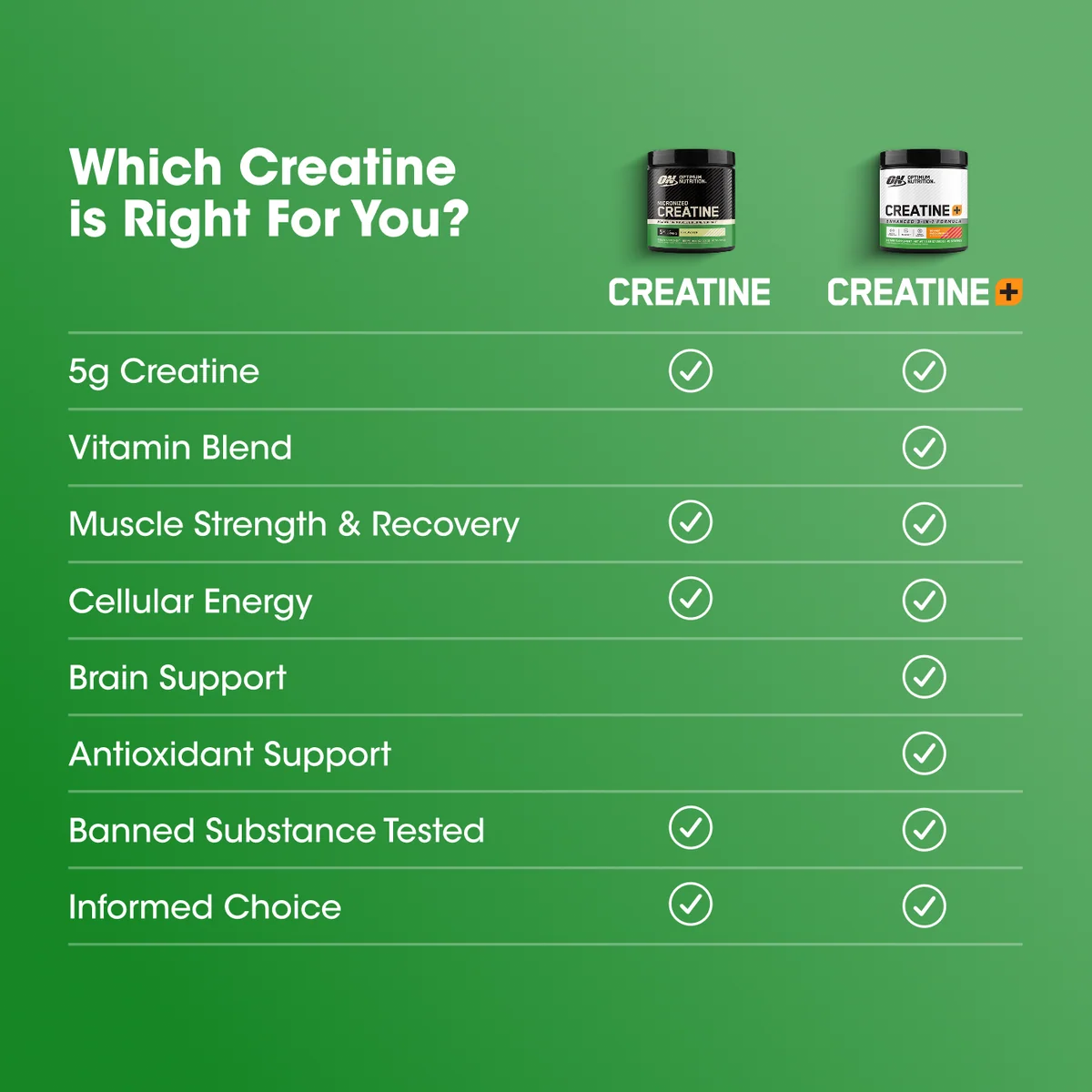 OPTIMUM NUTRITION CREATINE MONOHYDRATE PLUS POWDER