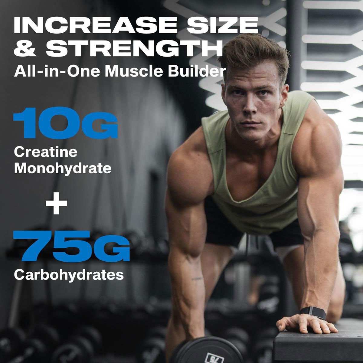MUSCLETECH CELL TECH CREATINE